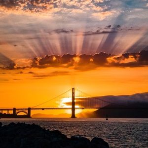 Meet your Posher, Dimi